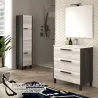 Mueble Baño Toledo 60 Cm