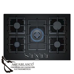 Cocina cristalgas 5 fuegos Siemens