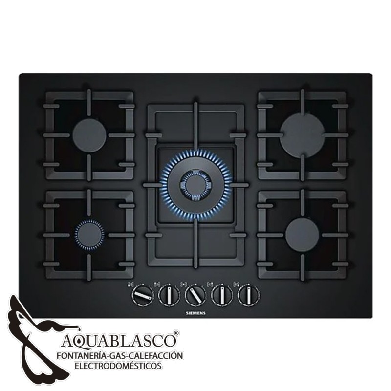 Cocina cristalgas 5 fuegos Siemens