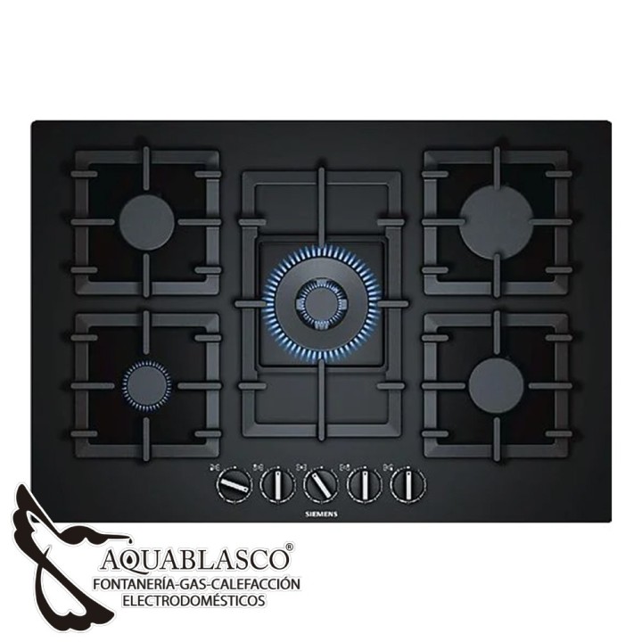 Cocina cristalgas 5 fuegos Siemens