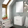 Mueble Baño Marbella 50 Cm