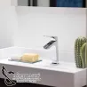 Monomando Lavabo Cascada Urban Chic Cromo RS